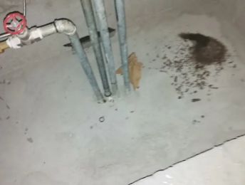 安宁卫生间测漏水价格明细