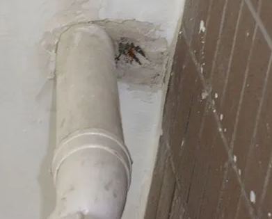 安宁漏水检测哪家好